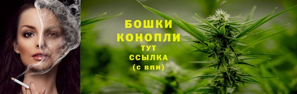 гидра Лиски
