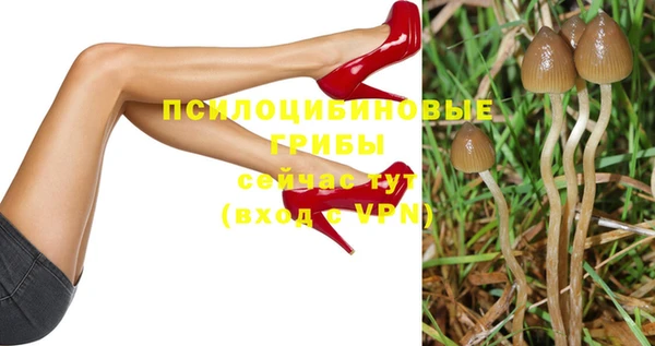 гидра Лиски
