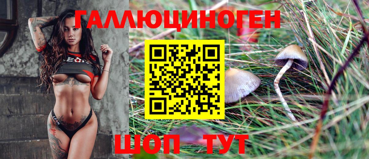 Галлюциногенные грибы Magic Shrooms Морозовск